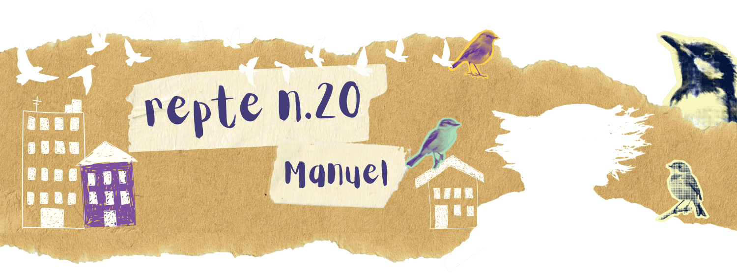 20