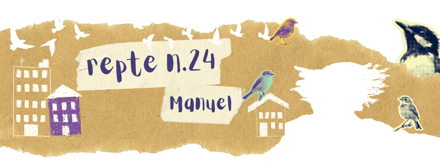 24