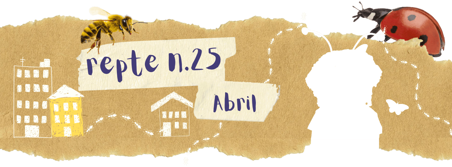 25