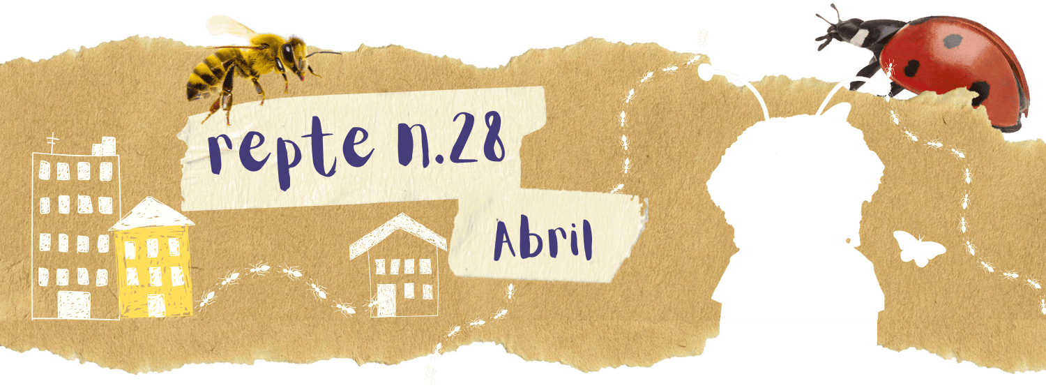 28